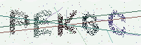 CAPTCHA image with 5 characters